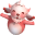 宠物森林2