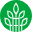 中国毛针织网