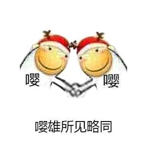 CSOL小恶