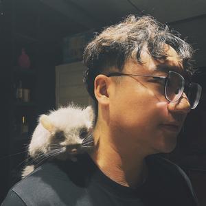 Ai训练师大宇