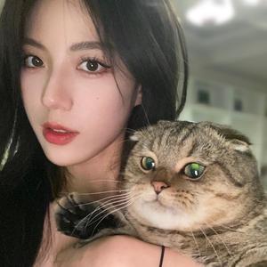 巾  凡