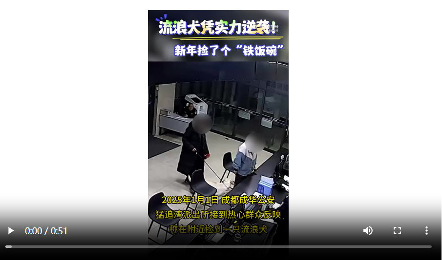 流浪狗凭实力秒入职警犬队