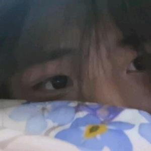 Aa.深巷的猫