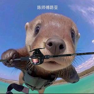 陈师傅路亚