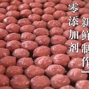 朝迎红日