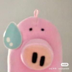 不是猪婆_