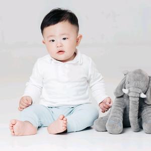 多肉小盆友