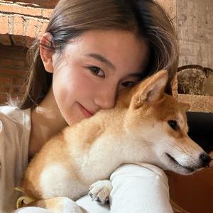 妮妮猫