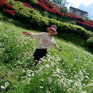 小江鱼庄雪儿