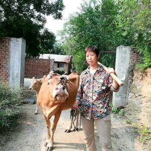 农村傻大妮儿