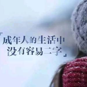 新能源     金琥EV48