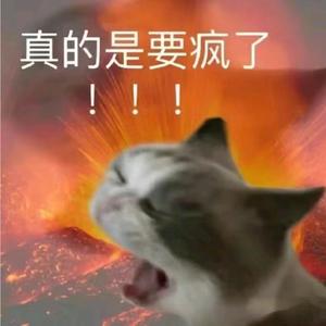 稀饭