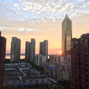 马彪油画