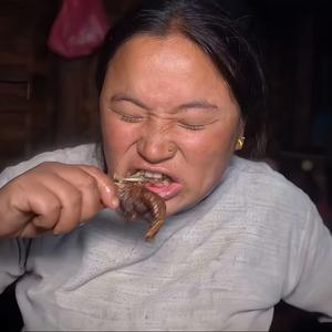 味蕾探险家ovo