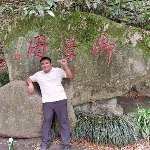 大家种业