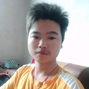 葬爱家族——忘了爱
