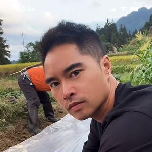 秦朗