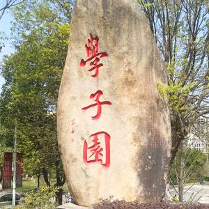 王小弟