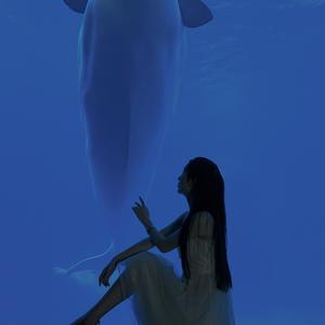 布灵