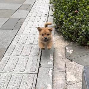 晨阳酱世界