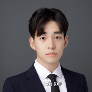 上海律师-刘明远「疯狂恢复视频中」