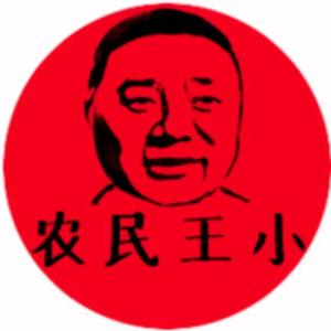 农民王小