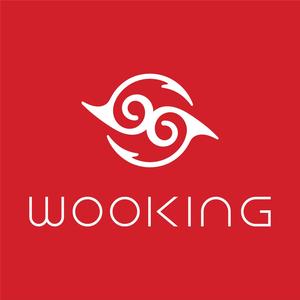 WOOKING吾空官方旗舰店