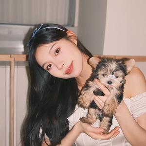 女明猩粥粥