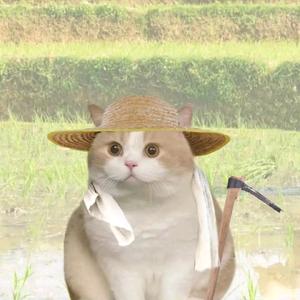 大自然显眼包