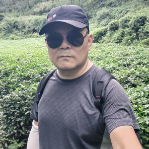 孤独的苍鹰