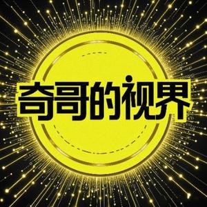 奇哥的视界