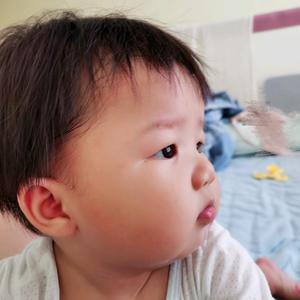 诗与胡说