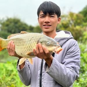 龟神小鹏