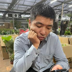 建泽园艺小静静盆花批发