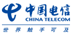 中国电信集团公司