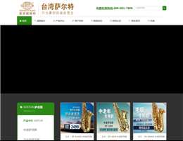 萨尔特网