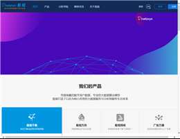 易观智库