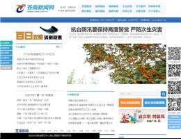 苍南新闻网