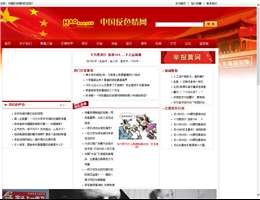 中国反色情网