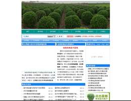 洛阳黄杨基地