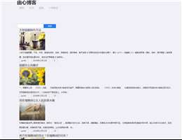 济南人论坛网