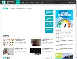 宠物领养网