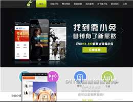 微小兔
