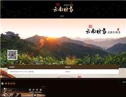 映象集团网